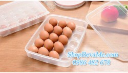 Khay đựng 24 quả trứng có nắp